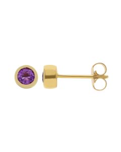 New 9ct Yellow Gold Round Amethyst Stud Earrings