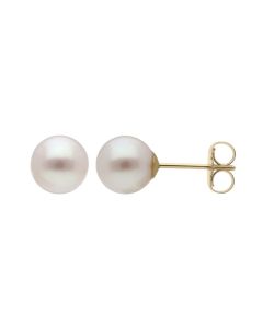 New 9ct Gold 6mm Freshwater Cultured Pearl Stud Earrings