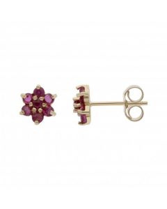 New 9ct Yellow Gold Ruby Flower Cluster Stud Earrings