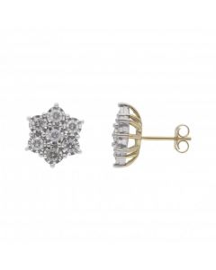 New 9ct Yellow & White Gold 1.00ct Diamond Cluster Stud Earrings