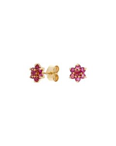 Pre-Owned 9ct Yellow Gold Ruby Cluster Stud Earrings