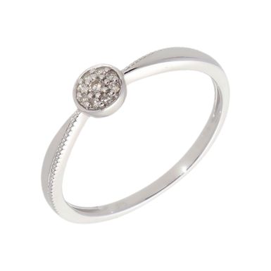 New 9ct White Gold 0.05ct Diamond Cluster Ring