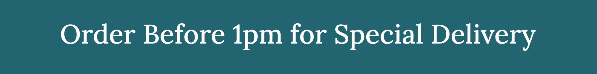 delivery_teal_small